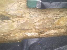 drumcliff 1390.jpg